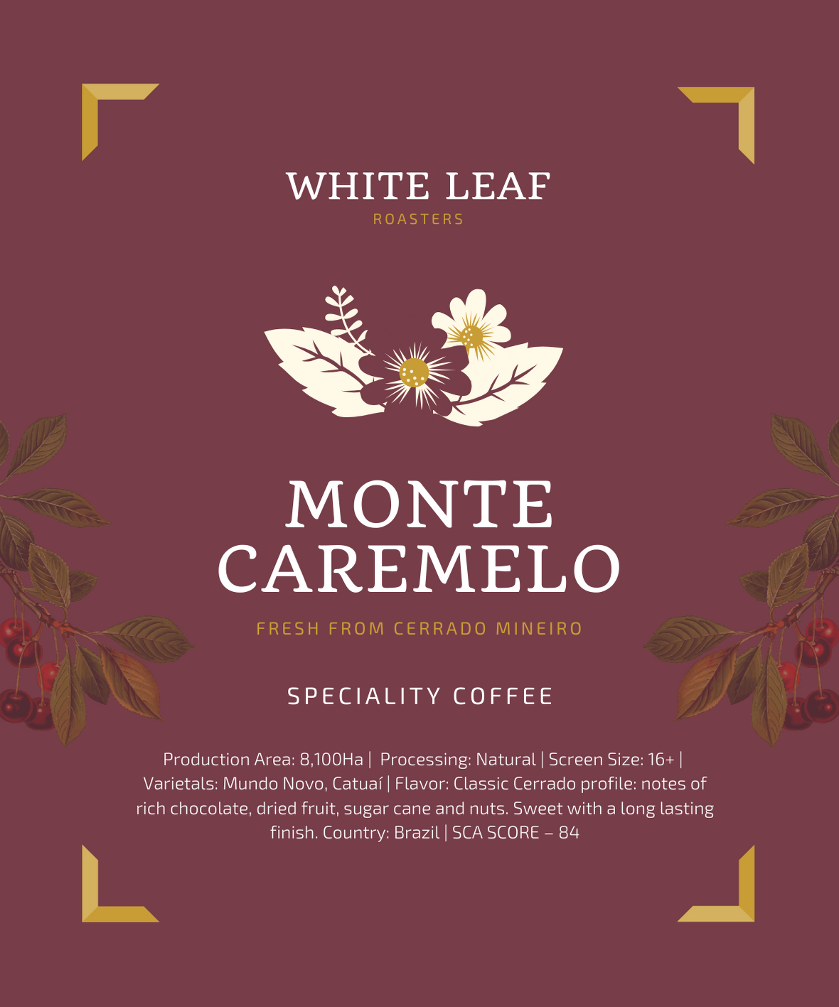Monte Caremelo - Specialty coffee - Brazil - 500 Grams