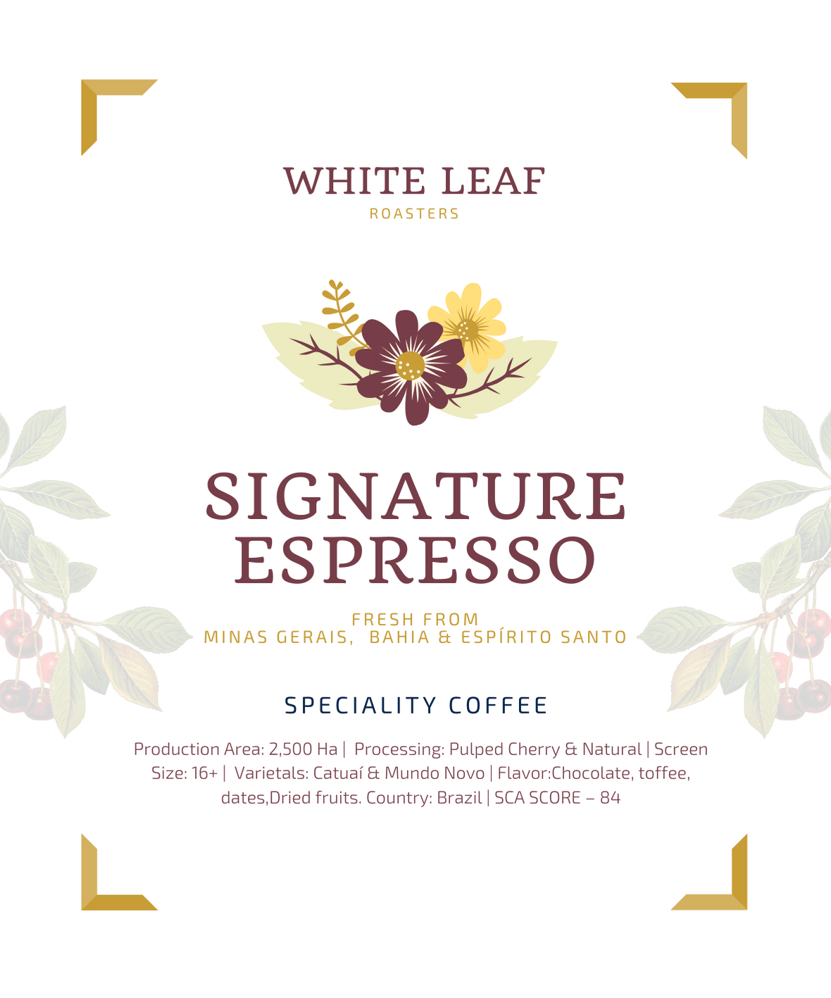 Signature Espresso - Speciality Coffee - Brazil - 500 Grams